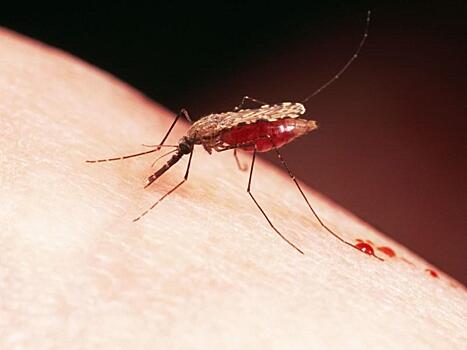 Двойная терапия лечит малярию со стопроцентным эффектом