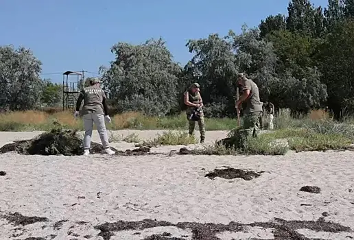 Самарские волонтеры завершили гуманитарную миссию в Запорожье, ДНР и ЛНР