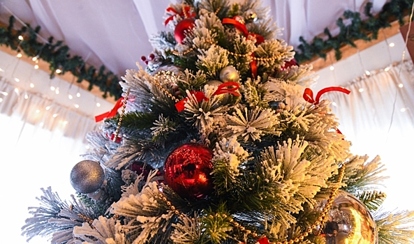 Спрос на музыкантов в Волгоградской области вырос в 5 раз в новогодние праздники