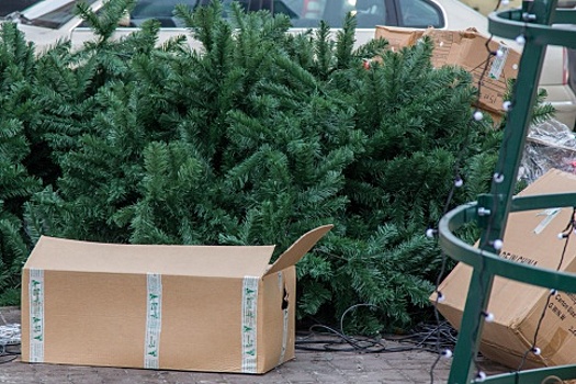 Более 560 новогодних елок сдали москвичи на пункты утилизации