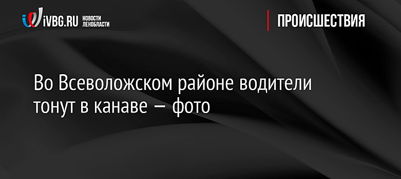 Во Всеволожском районе водители тонут в канаве — фото