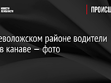 Во Всеволожском районе водители тонут в канаве — фото