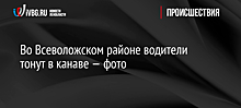 Во Всеволожском районе водители тонут в канаве — фото