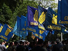 «Свобода» напала на Фонд Госимущества Украины с доильным аппаратом