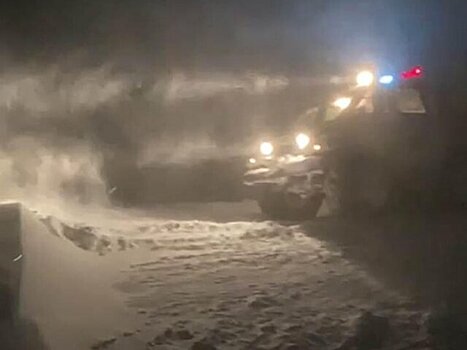 Спасатели эвакуировали 12 россиян из-за снежного заноса на трассе в Казахстане