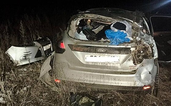 На трассе «Каспий» в Рязанской области опрокинулся автомобиль