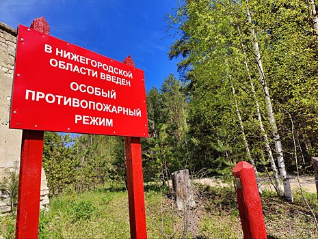 Нижегородцам рекомендуют воздержаться от посещения лесов в праздничные дни