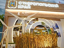 На Ставрополье по итогам КИФ-2025 создадут 16 тысяч новых рабочих мест