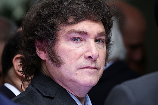 Аргентинец с мачете и дисками для "болгарки" хотел попасть в дом правительства