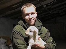 Благодаря гранту регионального Минсельхоза самый молодой овцевод Крыма втрое увеличил поголовье собственной фермы