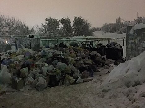 Жители Лесной Республики жалуются на мусорные «горы»