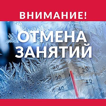 Школьники Южноуральска, Коркино и Кыштыма восьмого декабря останутся дома