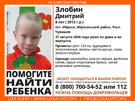 Волонтеры в Кузбассе разыскивают восьмилетнего мальчика