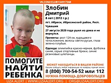 Волонтеры в Кузбассе разыскивают восьмилетнего мальчика