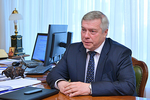 Правительство РФ объявило благодарность ростовскому губернатору Голубеву