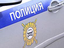 Семья с ребенком из Петербурга пострадала в ДТП с лосем