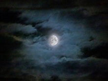 Часть Луны задела звезду в небе над Новосибирском утром 11 августа