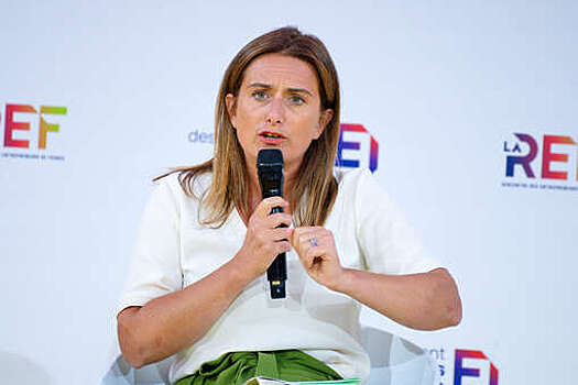 Глава партии "Экологисты" Тонделье примет участие в выборах президента Франции