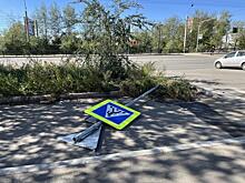 Знак пешеходного перехода лежит на тротуаре в Чите