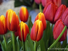 8 марта 2019: сладкий стол, советское кино