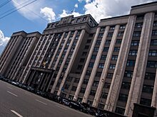 В Госдуме предложили ввести уголовного наказания за русофобию