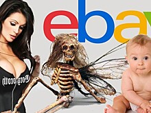 12 самых шокирующих лотов, выставленных на продажу на аукционе eBay