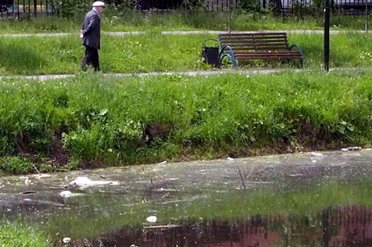 Реконструкцию парка "Ивановские пруды" хотят завершить в Красногорске ко Дню города