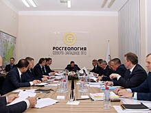 Видео с Горрингом обнажило множество проблем вокруг «Росгеологии»