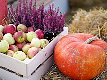 Рецепт яблочного пирога: постное блюдо из девяти ингредиентов