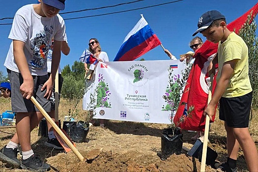 "Сад памяти": В Тунисе высадили 20 олив в честь героев Великой Отечественной