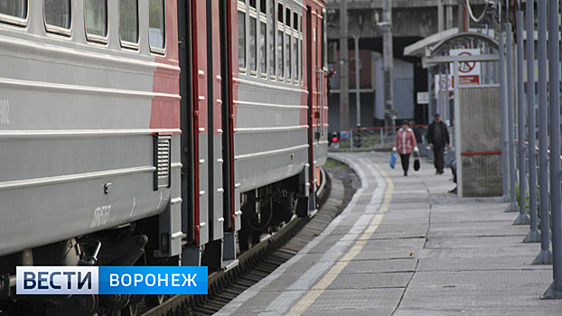 В Воронежской области пассажиры смогут оформить абонементные билеты на поезда