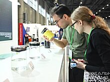 VIP-фуршет на 12 персон, путеводитель на татарском, 20 футболок: ТЭФ-2023 обойдется почти в 8 миллионов