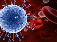 Еще 11 жителей Ростовской области стали жертвами COVID-19