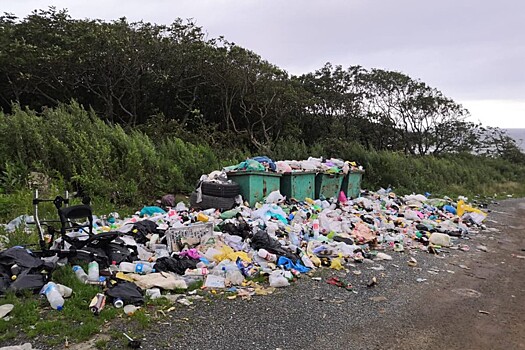 Отправить региональных операторов &quot;на свалку истории&quot; предложили в Госдуме