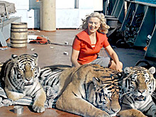 Как снимали советский фильм "Полосатый рейс"