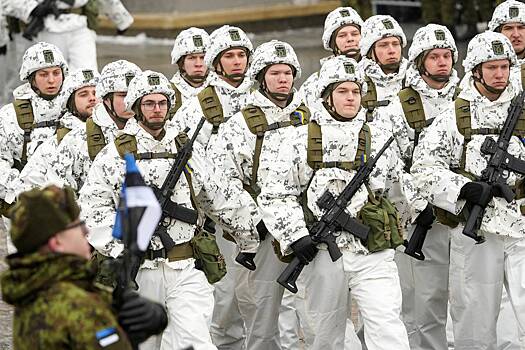 Граничащая с Россией страна НАТО объявила о создании «реальной массовой армии»