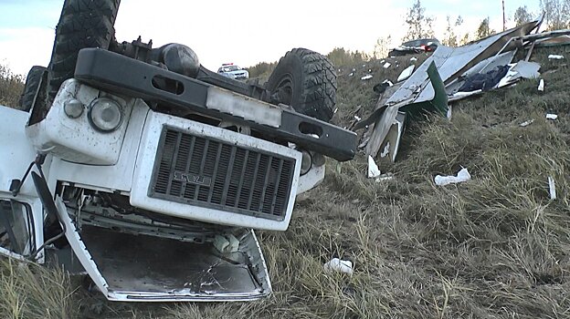 Разбросало по кюветам: на трассе под Пензой в ДТП погиб человек