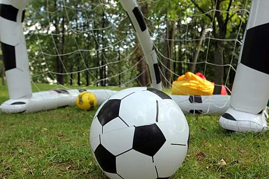 Штраф до 1,5 млн рублей ждет тех, кто продаст билеты на ЧМ-2018 незаконно