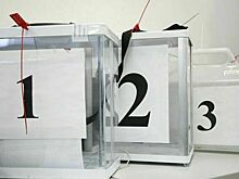 В Казахстане на выборах президента проголосовали более 7,7 тысячи россиян