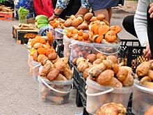 В 2017 году в Кирове за незаконную торговлю привлечено к ответственности 107 человек