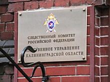 В России люди вышли на улицы в защиту калининградца, подозреваемого в оправдании нацизма