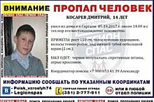 В Челябинской области разыскивают 14-летнего подростка