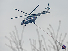 В Воронежской области введут режим ЧС из-за заморозков