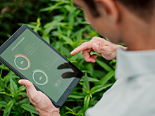 IBS помогает холдингу «Русское поле» оптимизировать спрос и производство