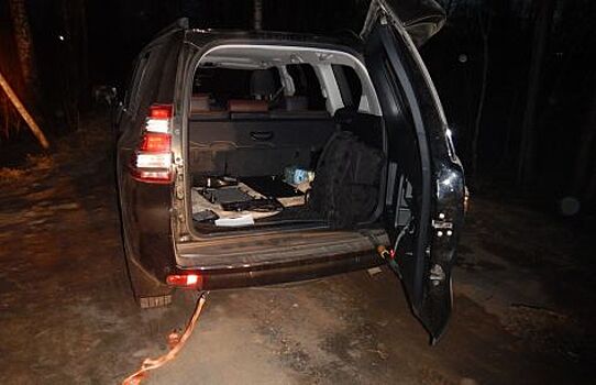 Внедорожник Toyota за 3 млн рублей угнали в Подмосковье