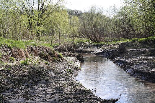 Нижний Новгород может превратиться в Венецию благодаря малым рекам