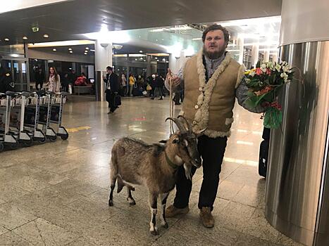 В Москву из Приморского Сафари-Парка прилетела коза Меркель