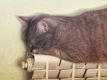 Стало известно, сколько домов в Костроме уже подключили к отоплению