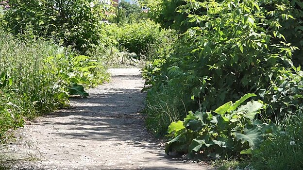 Молодого бессоновца отправили в колонию за ограбление пензячки