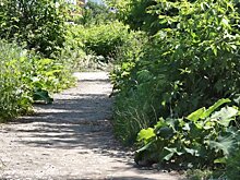 Молодого бессоновца отправили в колонию за ограбление пензячки